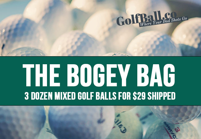 The Bogey Bag - $29 for 3-Dozen Mixed Golf Balls SHIPPED